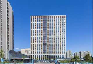 上海合金钢板出口物流货运